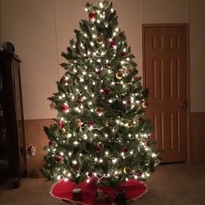 Meet your Posher, Robin